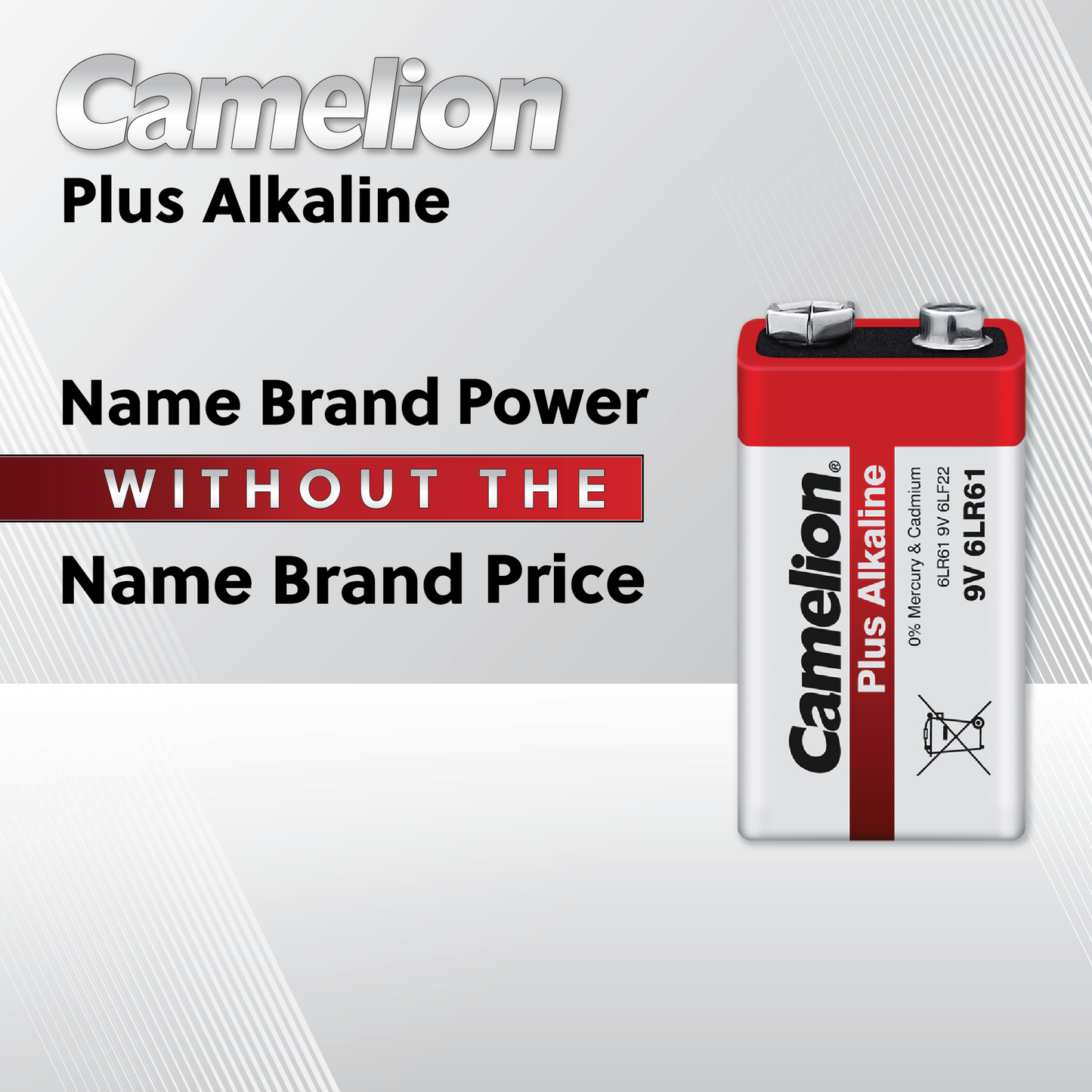 Camelion AA Plus Alkaline Eco Blister Pack of 4